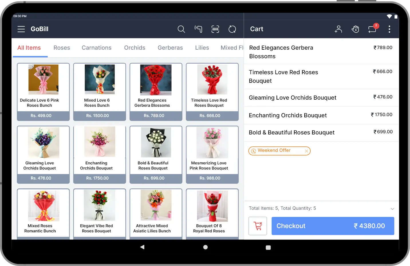 Lifestyle Billing Software
